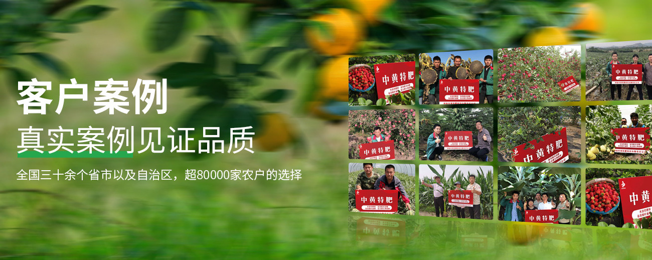 水溶肥料-大量元素水溶肥-含氨基酸水溶肥料-高塔復合肥-水溶肥生產廠家-河南中黃特肥科技有限責任公司