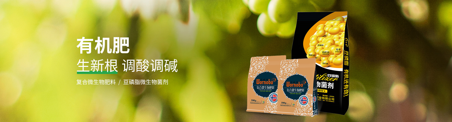 水溶肥料-大量元素水溶肥-含氨基酸水溶肥料-高塔復合肥-水溶肥生產廠家-河南中黃特肥科技有限責任公司